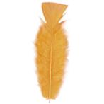 50x Sierveren oranje hobby materiaal 17 cm - Decoratie veren, Verzenden, Nieuw