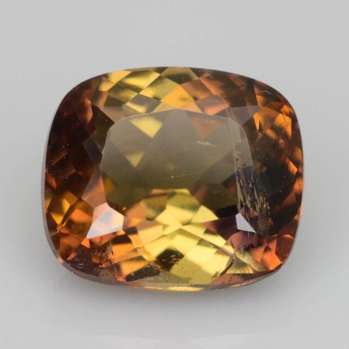 Zonder Minimumprijs - 1 pcs Bruin, Geel - 2.78 ct -, Sieraden, Tassen en Uiterlijk, Edelstenen