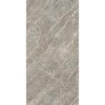 Vloertegel Douglas & Jones 120x280 cm Magnum Glans Gris, Ophalen of Verzenden, Nieuw, Overige typen