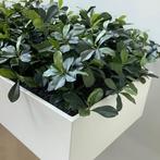Plantenbak met kunstplanten, (bxd) 180x45 cm, MDF-wit, Huis en Inrichting, Ophalen of Verzenden