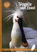9789061095590 Vogels van Texel Marc Plomp, Boeken, Verzenden, Nieuw, Marc Plomp