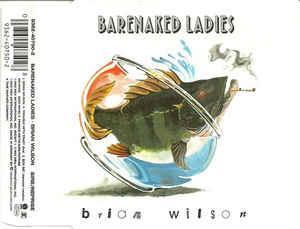 cd single - Barenaked Ladies - Brian Wilson, Cd's en Dvd's, Cd Singles, Zo goed als nieuw, Rock en Metal, Verzenden