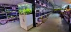 aquariumvissen aquariumplantvoeding aquariumhout koi goudvis, Dieren en Toebehoren, Zoetwatervis, Overige typen