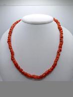 Bloedkoraal Koraal - Corallium rubrum (Zonder Minimumprijs)