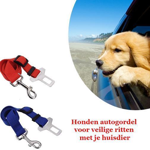 Honden autogordel, Boeken, Dieren en Huisdieren, Nieuw, Verzenden