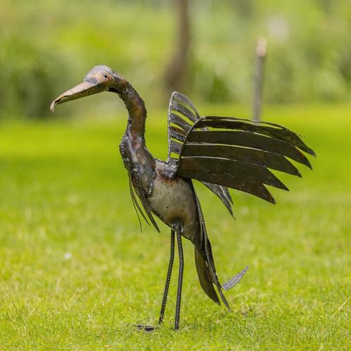Aalscholver - Mooievogels.nl, Dieren en Toebehoren, Vogels | Overige Vogels, Roofvogel, Geslacht onbekend