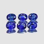6 pcs Blauw Saffier - 2.76 ct - nternational Colored, Nieuw