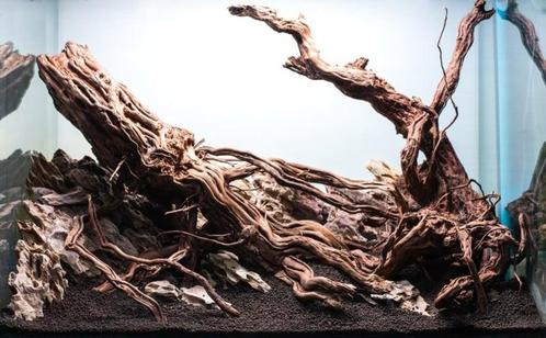 Golden wood L 60-90cm (Natuurlijk hout), Dieren en Toebehoren, Vissen | Aquaria en Toebehoren, Plant(en), Steen of Hout, Nieuw