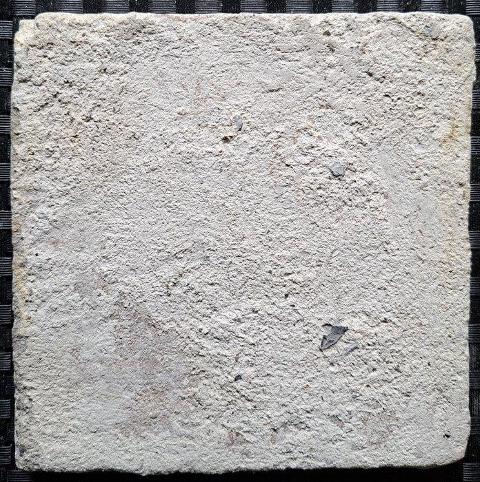 Tegel - Antieke tegel met pauw. - 1600-1650, Antiek en Kunst, Antiek | Glas en Kristal