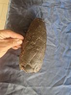 Dinosaurus - Gefossiliseerd ei - Oviraptor SP., Verzamelen, Mineralen en Fossielen