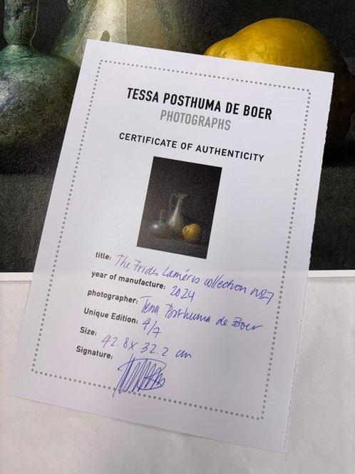 Tessa Posthuma de Boer - The Frides Laméris collection no.7, Antiek en Kunst, Kunst | Schilderijen | Modern
