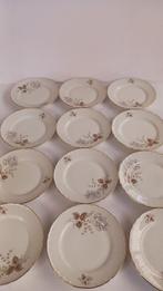 richard ginori - Tafelservies voor 12 (41) - Porselein