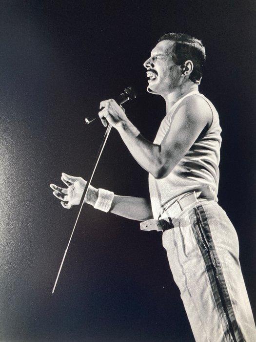 Jan Werner - Freddy Mercury (1946-199199) in concert, Antiek en Kunst, Kunst | Designobjecten