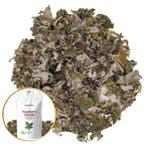 BIO-Kruidenthee ORGANIC RASPBERRY LEAF - 100 g, Huis en Inrichting, Keuken | Keukenbenodigdheden, Ophalen of Verzenden, Nieuw