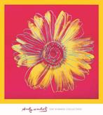 Kunstdruk Andy Warhol - Daisy 1982 90x90cm, Verzenden, Nieuw