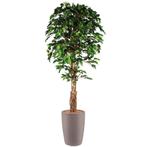 Ficus kunstplant, H210cm, Huis en Inrichting, Kamerplanten, Ophalen of Verzenden