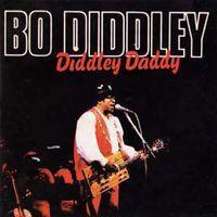 cd - Bo Diddley - Diddley Daddy, Cd's en Dvd's, Cd's | Overige Cd's, Zo goed als nieuw, Verzenden
