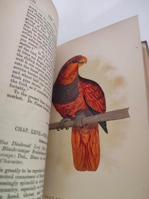 Karl Russ - The Speaking Parrots. A Scientific Manual - 1884, Antiek en Kunst, Antiek | Boeken en Bijbels