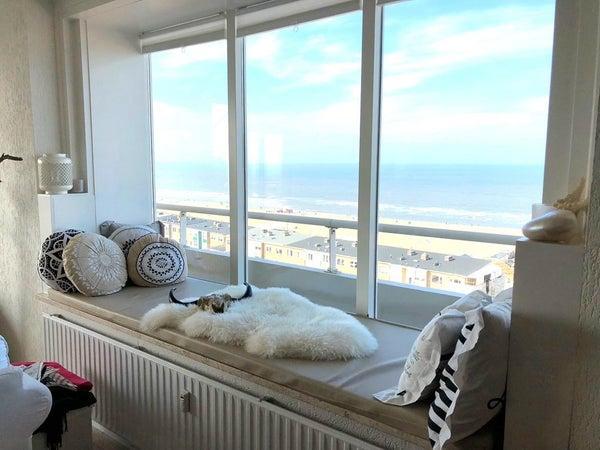 Leuke huurwoning Te huur: Passage in Zandvoort, Huizen en Kamers, Huizen te huur, Direct bij eigenaar, B, Noord-Holland, Tussenwoning