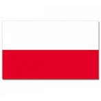 Poolse vlag goede kwaliteit - Polen versiering, Nieuw, Ophalen of Verzenden