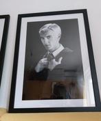 Harry Potter - Ralph Fiennes, Tom Felton - Starck Gallery, Verzamelen, Nieuw