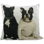canvas kussen franse bulldogs 50x50cm*, Verzenden, Nieuw