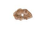 Fossiel Waskom 46x38x15 cm | Versteend Hout, Huis en Inrichting, Badkamer | Badkamermeubels, Verzenden, Nieuw, Wastafelkast
