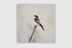 Matthieu van Riel - Bird, Antiek en Kunst