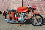 Ducati - Sport - 175 cc - 1958, Motoren