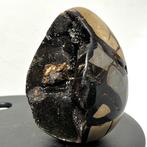 Septaria Wild Black Crystals Fine Large Wild Septaria Black, Verzamelen, Mineralen en Fossielen