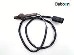 Lambda Sonde Triumph Tiger 955 2005-2006 VIN >198875, Verzenden, Gebruikt