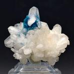 CAVANSITE BLU met witte Stilbite-fiocchi, hoge esthetiek