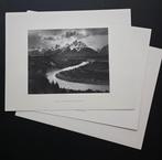 Ansel Adams (1902–1984) - Ruines de la Maison blanche, Rose