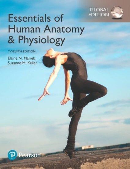 9781292216119 | Essentials of Human Anatomy & Physiology,..., Boeken, Studieboeken en Cursussen, Verzenden