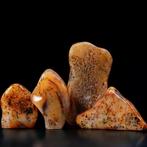 Lotto van Agata Muschiata Amberkleur uit Madagascar -