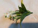 Corsage pick – white kunst stephanotus per stuk voor toefjes, Ophalen of Verzenden, Nieuw