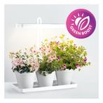 Mini  binnentuin / kweekset /moestuin met LED groeilamp 20, Ophalen of Verzenden, Nieuw