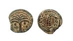 Judaea. Marcus Ambibulus (9-12 n.Chr.). Prutah Marcus