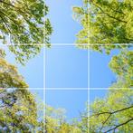 Wolkenplafond Acrylplaat - 60x60 - Bomen, Ophalen of Verzenden, Nieuw, Plafondspot of Wandspot, Led