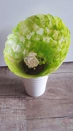 Capiz Camar schelpen Appelgroen 500 gram, Ophalen of Verzenden, Nieuw