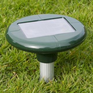 Mollenverjager | Perel | 800 m² (Zonne-energie), Dieren en Toebehoren, Overige Dieren-accessoires, Nieuw, Verzenden