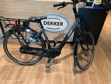 Gazelle orange C8 beschikbaar voor biedingen