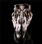 Replica Tyrannosaurus Skull - Taxidermie replica montage -, Verzamelen, Nieuw