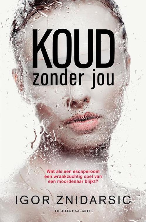 Koud zonder jou / Van Dijk & Vischjager / 3 9789045219080, Boeken, Thrillers, Gelezen, Verzenden