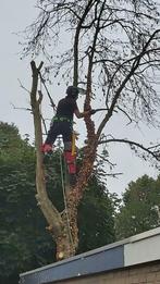 Tuinonderhoud en Boomverzorging, Garantie, Tuinonderhoud of Snoeiwerk