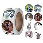 500 Stickers Op Rol - 2.5cm - Echte Katten -, Verzenden, Nieuw