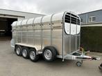 Veiling: Veetrailer Nugent L4318T 4.32x1.80x1.93m 3500kg, Ophalen, Zo goed als nieuw, Overige typen