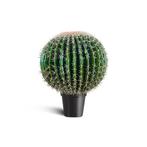 IvoQ Kunst Cactus 55 cm, Verzenden, Nieuw