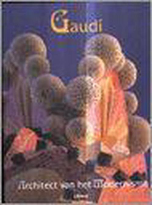 GAUDI. ARCHITECT VAN HET MODERNISME 9789057642791 L. Tolosa, Boeken, Kunst en Cultuur | Architectuur, Gelezen, Verzenden