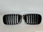 BMW X3 G01 Nieren Grille 51137440853 51137440854, Ophalen, Gebruikt, Voor